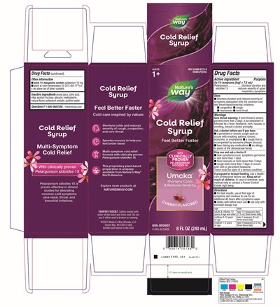 Lhbn15793.c01 Cold Relief Syrup Cherry 8 Oz.jpg (Lhbn15793.c01 Cold Relief Syrup Cherry 8 Oz)